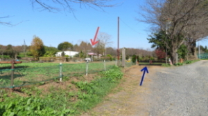 茨城県坂東市岩井